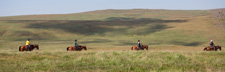 England-Dartmoor-The Dartmoor Explorer